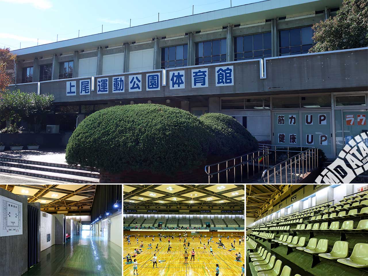 上尾運動公園体育館の画像